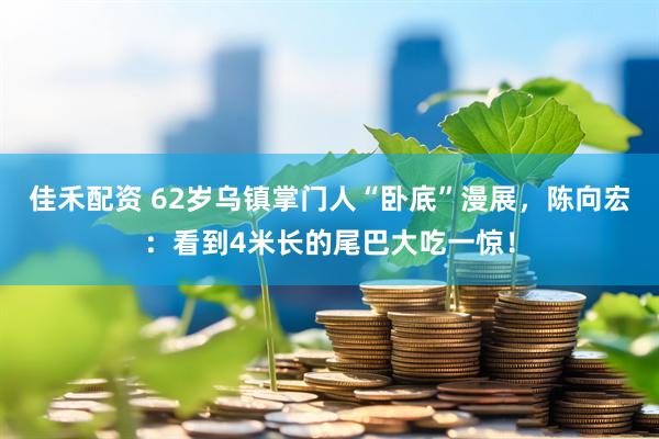 佳禾配资 62岁乌镇掌门人“卧底”漫展，陈向宏：看到4米长的尾巴大吃一惊！