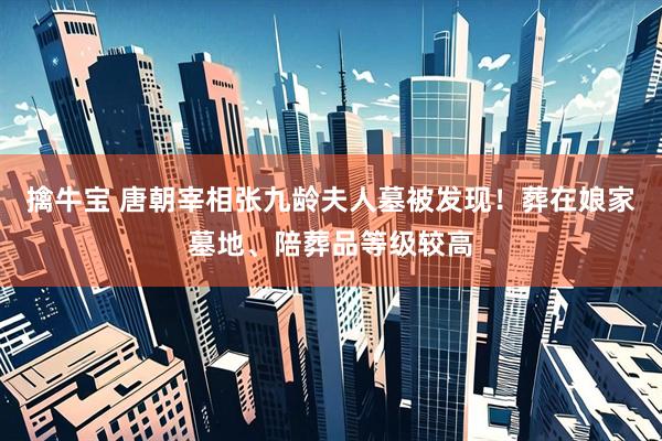 擒牛宝 唐朝宰相张九龄夫人墓被发现！葬在娘家墓地、陪葬品等级较高