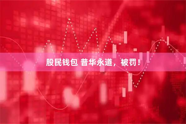 股民钱包 普华永道，被罚！