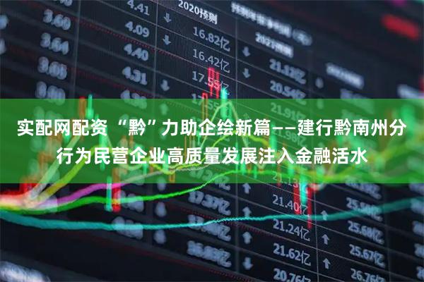 实配网配资 “黔”力助企绘新篇——建行黔南州分行为民营企业高质量发展注入金融活水