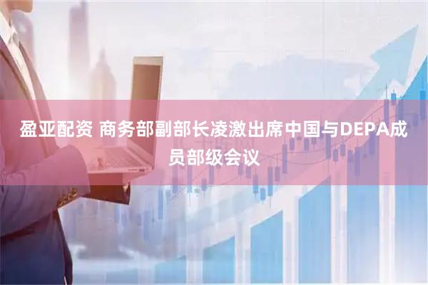 盈亚配资 商务部副部长凌激出席中国与DEPA成员部级会议